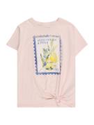 Abercrombie & Fitch Bluser & t-shirts  navy / citron / oliven / gammelrosa