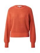 GARCIA Pullover  mørkeorange