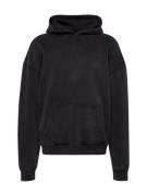 HOLLISTER Sweatshirt 'MAR4'  sort