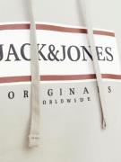 JACK & JONES Sweatshirt 'JORFREDERIKSBERG'  brun / lysegrå / sort / hvid