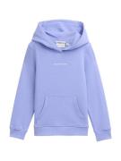 TOM TAILOR Sweatshirt  lyselilla / hvid