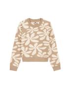 WE Fashion Pullover  beige / hvid