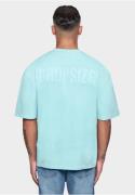 Dropsize Bluser & t-shirts  turkis