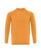 Dandalo Pullover  orange