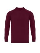 Dandalo Pullover  bordeaux