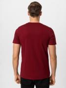 Jacey Quinn Bluser & t-shirts  bordeaux / hvid