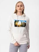 Cool Hill Sweatshirt  beige / blå / brun / gul / grå / pastelorange / hvid