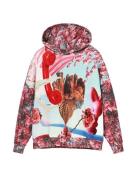 Desigual Sweatshirt  blandingsfarvet