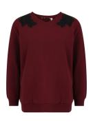 Dorothy Perkins Petite Sweatshirt  burgunder / sort