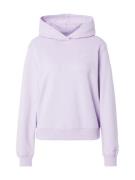 Calvin Klein Jeans Sweatshirt  lyselilla