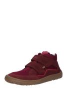 Froddo Sneakers  bordeaux