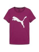 PUMA Funktionsskjorte 'ACTIVE'  rødviolet / hvid