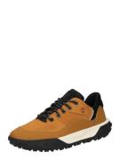 TIMBERLAND Sneaker low  safran / sort / hvid