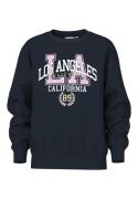 NAME IT Sweatshirt 'NKFVENUS'  navy / lysegul / lilla / hvid