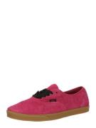 VANS Sneaker low 'Authentic'  pink