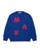 Marni Pullover  koboltblåt / rød