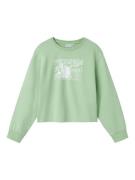 NAME IT Sweatshirt 'NKFVANITA'  pastelgrøn / hvid