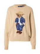 Polo Ralph Lauren Pullover  blå / marin / cappuccino / mørkebrun