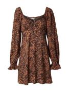 Miss Selfridge Kjole  cognac / cappuccino / sort