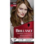 Schwarzkopf Brillance  Hair Color 864 Warm Brown