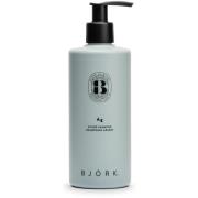 Björk AG Silver Shampoo 300 ml