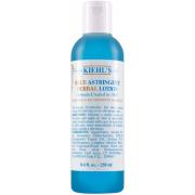 Kiehl's Blue Herbal Blue Astringent Herbal Lotion 250 ml