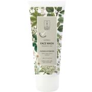 Raunsborg Sensitive Face Wash 100 ml