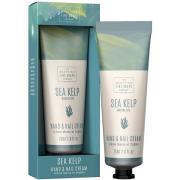 The Scottish Fine Soaps Hand & Nail Cream 75 ml