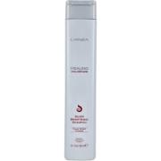 Lanza Healing ColorCare Silver Shampoo 300 ml