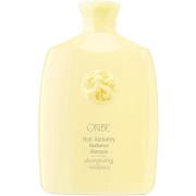 Oribe Hair Alchemy Resilience Shampoo 250 ml