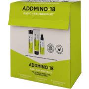 Addmino 18 Hair Reborn Retail Kit