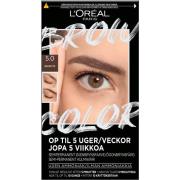 Loreal Paris Brow Color Semi-Permanent Eyebrow Color 5.0 Brunette