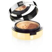 Elizabeth Arden Pure Finish Mineral Foundation 5