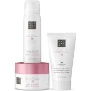 Rituals The Ritual of Sakura Trial Set