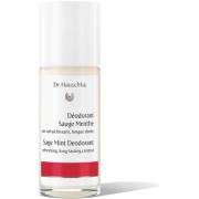 Dr. Hauschka Sage Mint Deodorant 50 ml