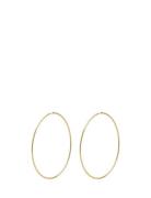 Sanne X-Large Hoop Earrings Accessories Jewellery Earrings Hoops Gold Pilgrim