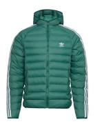 Pad Hooded Puff Foret Jakke Green Adidas Originals