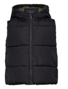 Puffer Vest Foret Vest Blue Tom Tailor