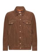 C_Jecord-D Jakke Denimjakke Brown BOSS