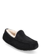 M Ascot Slippers Hjemmesko Black UGG