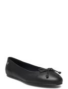 Essential Leather Ballerina Ballerinasko Ballerinaer Black Tommy Hilfiger