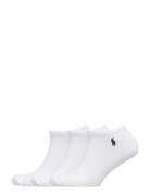 Low-Cut Sock 3-Pack Ankelstrømper Korte Strømper White Polo Ralph Lauren Underwear