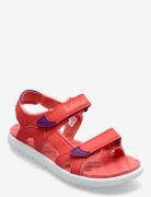 Perkins Row 2Strap Dkpink Shoes Summer Shoes Sandals Timberland