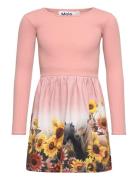 Credence Dresses & Skirts Dresses Casual Dresses Long-sleeved Casual Dresses Pink Molo