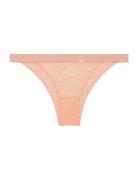 Bikini Lingerie Panties Brazilian Panties Coral Calvin Klein