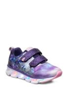 Skalka Low-top Sneakers Purple Leaf