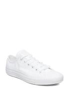 Chuck Taylor All Star Seasonal Sport Sneakers Low-top Sneakers White Converse