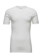 Jbs T-Shirt Classic Tops T-Kortærmet Skjorte White JBS