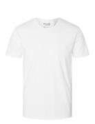 Slhnewpima Ss O-Neck Tee Noos Tops T-Kortærmet Skjorte White Selected Homme