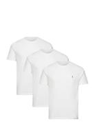 Brace Ss Crew 3 Pk Tops T-Kortærmet Skjorte White AllSaints